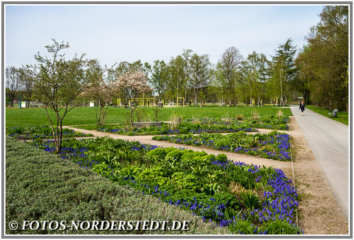 Der Norderstedter Stadtpark im Mai