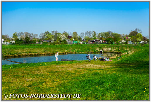 Blick vom Dreibekenweg auf den Teich und den Kleingärtnerverein Friedrichsgabe